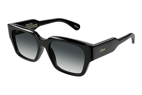 Ophthalmic Glasses Chloé CH0190S 001