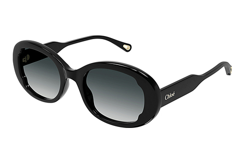 Ophthalmic Glasses Chloé CH0197S 001