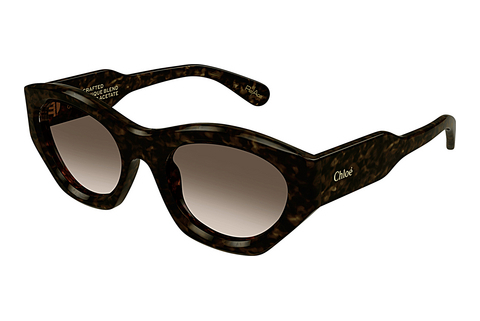 Ophthalmic Glasses Chloé CH0220S 002