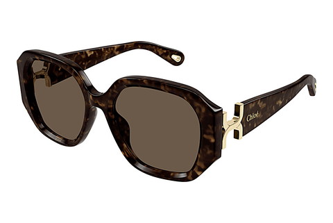 Ophthalmic Glasses Chloé CH0236S 002