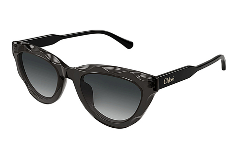 Ophthalmic Glasses Chloé CH0294S 001