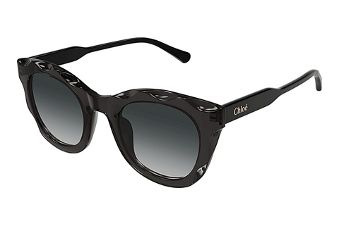 Ophthalmic Glasses Chloé CH0295S 001