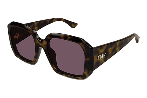 Ophthalmic Glasses Chloé CH0300S 002