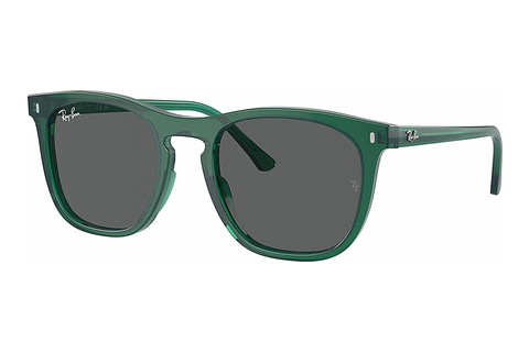 Ophthalmic Glasses Ray-Ban RB2210 6615B1