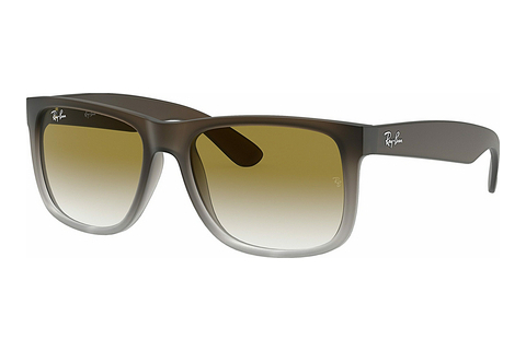 Ophthalmic Glasses Ray-Ban JUSTIN (RB4165 854/7Z)