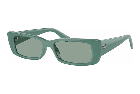 Ophthalmic Glasses Ray-Ban TERU (RB4425 676282)