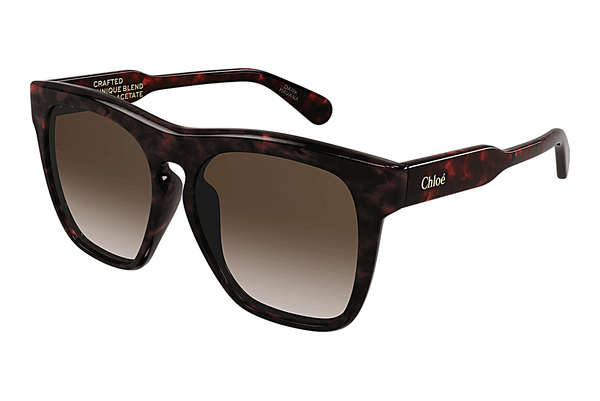 Ophthalmic Glasses Chloé CH0149SA 002