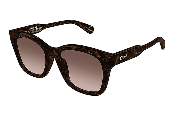 Ophthalmic Glasses Chloé CH0194SK 002