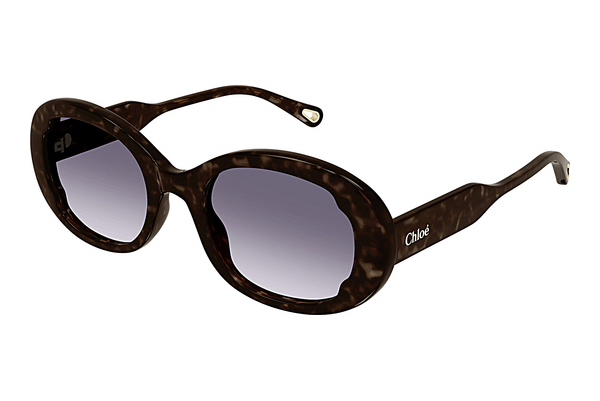 Ophthalmic Glasses Chloé CH0197S 002