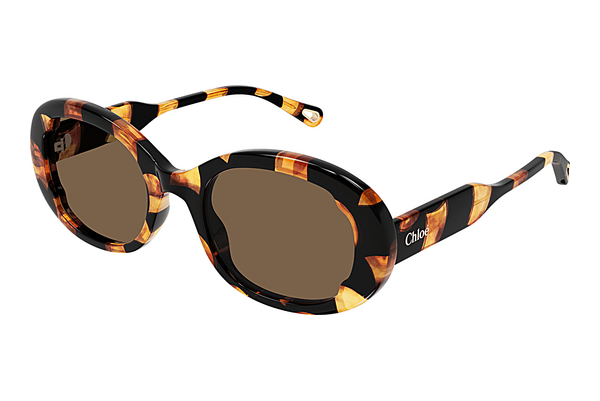 Ophthalmic Glasses Chloé CH0197S 003