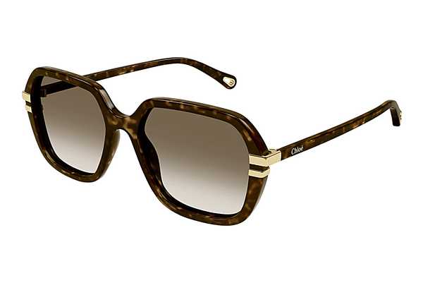 Ophthalmic Glasses Chloé CH0204S 002