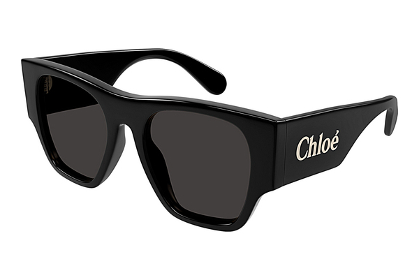 Ophthalmic Glasses Chloé CH0233S 001