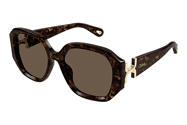 Ophthalmic Glasses Chloé CH0236S 002