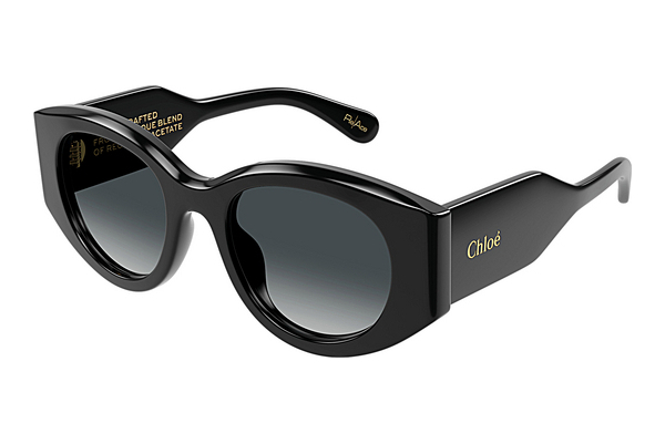 Ophthalmic Glasses Chloé CH0251S 001