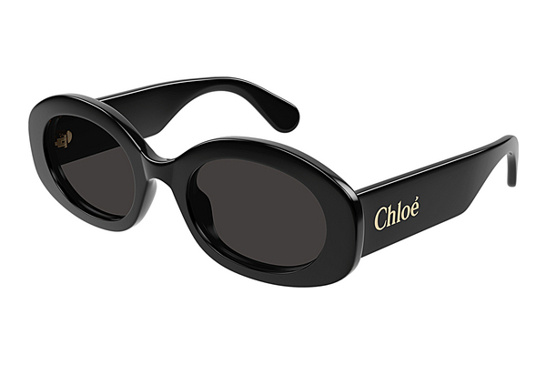 Ophthalmic Glasses Chloé CH0258S 001