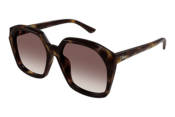 Ophthalmic Glasses Chloé CH0280S 006