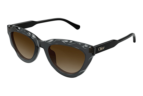 Ophthalmic Glasses Chloé CH0294S 005