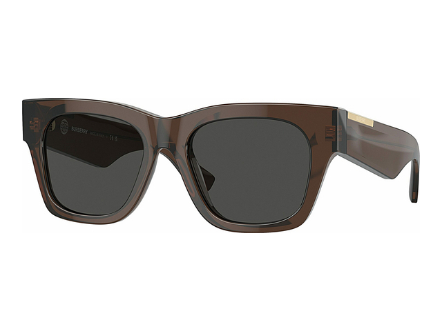 Burberry square frame sunglasses online